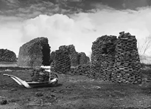 Peat Fields / Somerset