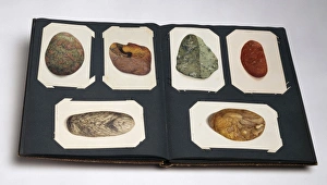 Pebble Gallery: Pebbles