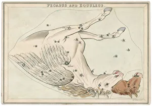 Constellation Gallery: Pegasus Star Map