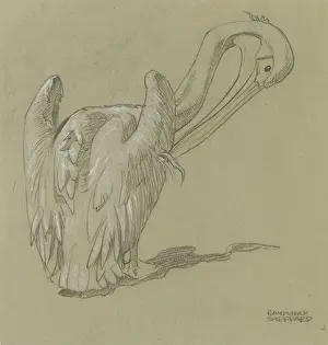 Pelican Prints: Pelican Studies