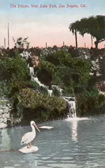 The Pelican, West Lake Park, Los Angeles, California, USA