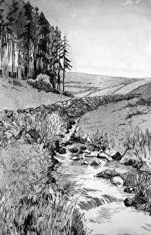 Auerbach Collection: Pen and ink drawing by Harold Auerbach, rural scene