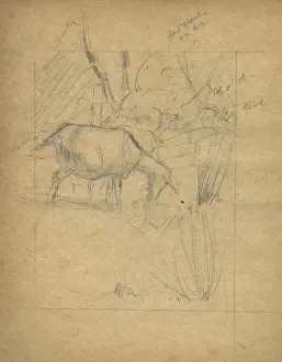 Pencil sketch by Muriel Dawson