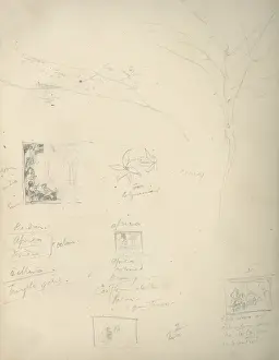 Pencil sketch of a tree