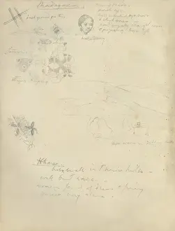 Pencil sketches, including womans head