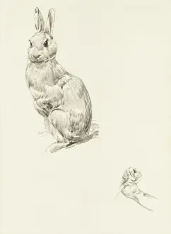 Fist Prints: Pencil studies of a rabbit and grasping fist