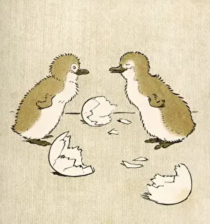 Hatched Prints: Penguin Chicks Aldin