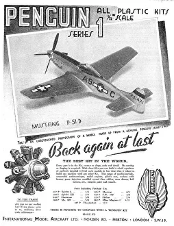 Penguin Model Aircraft
