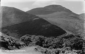 Shrubs Prints: Above Penmaenmawr
