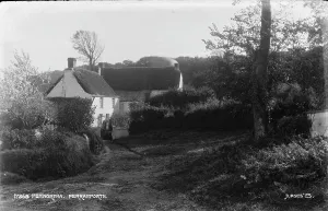 Serenity Prints: Pennywortha, Perranporth