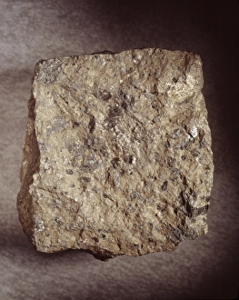 Pentlandite Pentlandite