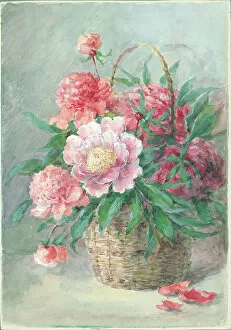 Arrangement Collection: Peonies Flowers in basket Flower arrangement