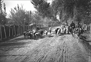 Xinjiang Prints: People and animals on a road, Kashgar, western China
