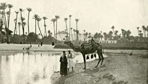 Saqqara Prints: People with camel by the waterside, Sakkara, Egypt