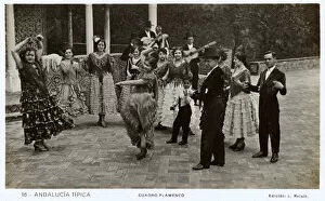 Instrument Collection: People dancing flamenco in the street, Seville, Spain