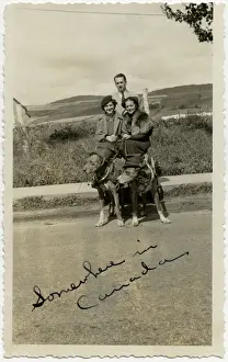 Three people with two dogs in Canada