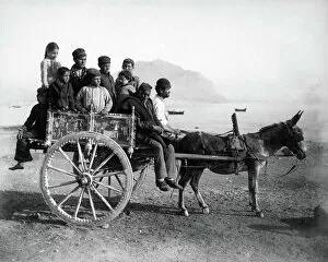 Donkey Collection: People on donkey cart, Sicily, Italy