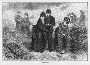 Trowel Prints: People Gathering Ferns