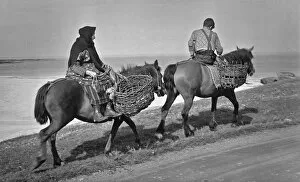 Sidesaddle Collection: People on horseback, going to collect peat