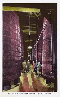 Cellar Prints: People at the Italian Swiss winery, Asti, California, USA