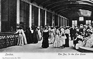 Sailor Prints: People in the Lion House at London Zoo