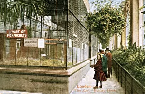 People visiting the Monkey House at London Zoo