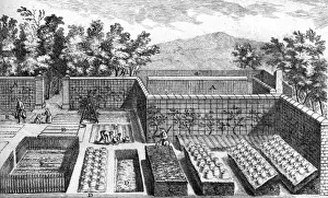 Neat Prints: People working in a vegetable garden