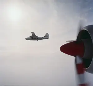 Percival P-66 Pembroke C-1