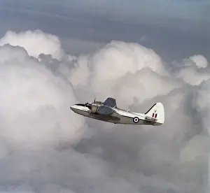 Percival P-66 Pembroke C-1