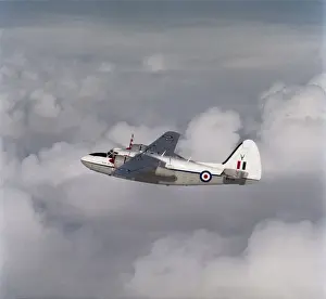 Percival P-66 Pembroke C-1