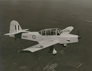 Percival Prentice T1, VR218