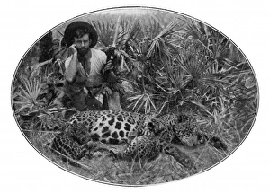Hunting Collection: Percy H Fawcett, British explorer