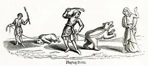 Images Dated 26th February 2019: Performing Bears
