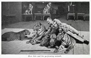 Images Dated 22nd January 2020: Performing cats 1903