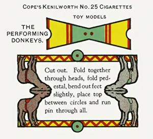Ellam Prints: Performing donkeys