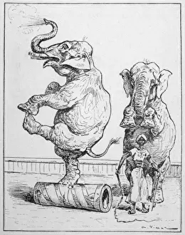 Performing Elephants