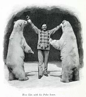 Performing polar bears 1903