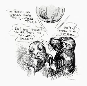 Images Dated 24th October 2019: Performing seals at the London Hippodrome