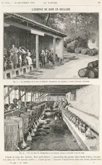 Petals Prints: The perfume industry in Bulgaria