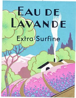 Perfume label, Eau de Lavande Extra-Surfine