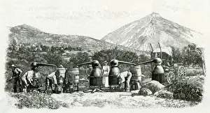 PERFUME MANUFACTURE 1898