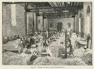 Perfume Manufacture / 1898