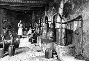 Perfume Manufacture / 1898
