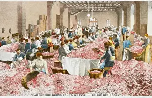 Baskets Prints: Perfumerie Bruno Court at Grasse, France