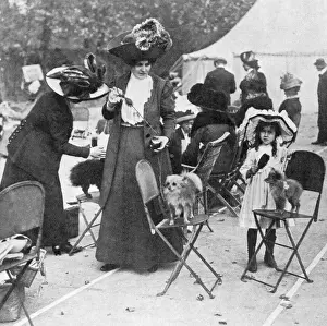 Toilet Prints: Perfuming probable prizewinners: dog show perfume, 1911