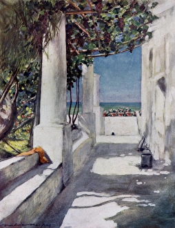 Arbor Gallery: Pergola, Capri, Naples, Italy