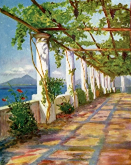 Pergola at the Villa San Michele above Anacapri, Italy