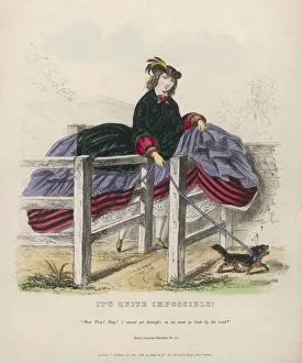 Perils Gallery: Perils of Crinolines No4