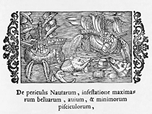 Perils Gallery: Perils of the Sea