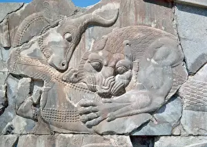 Apadana Prints: Persian art. Persepolis. Apadana. Palace of Darius I. Lion a